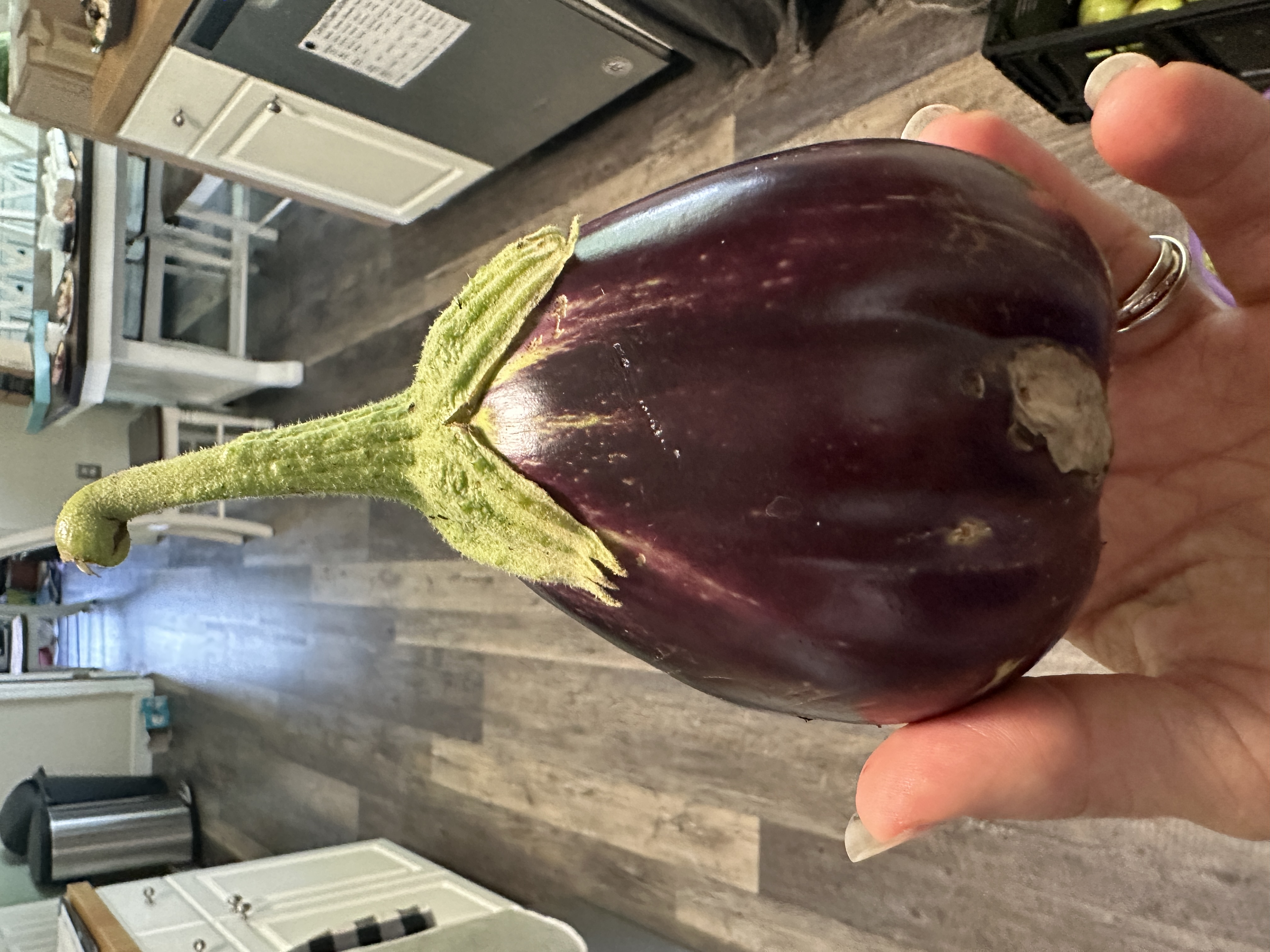 Garden Wrap-UP